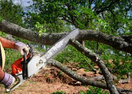 Reliable Brookston, IN Tree Removal Solutions